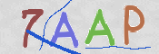 CAPTCHA-Bild