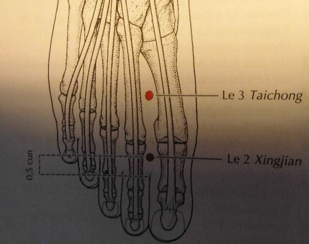 Punkt Leber 3- aus Handbuch Akupunktur von Deadman, Al-Khafaji und Baker