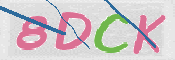 CAPTCHA-Bild