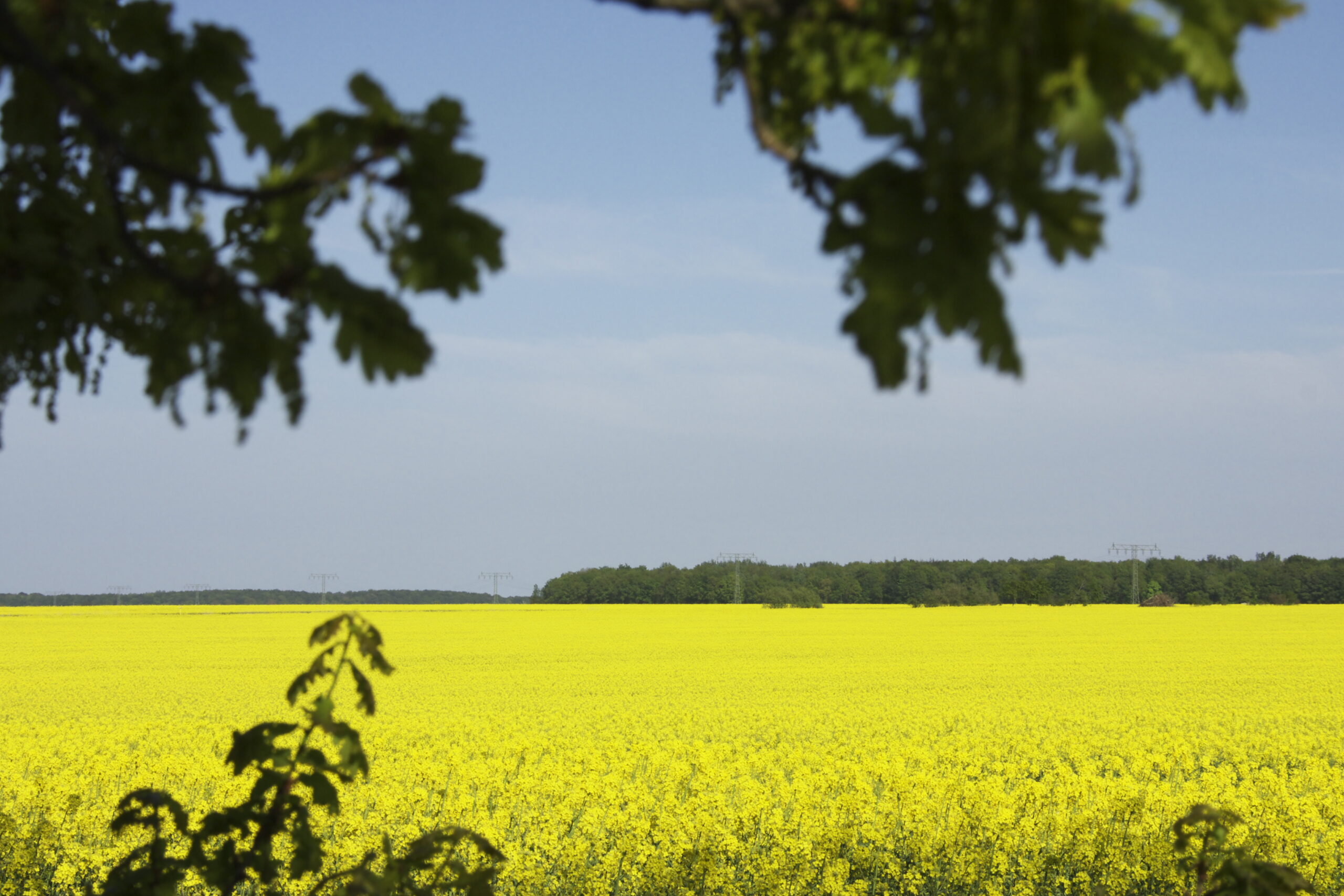 Der Tanz Deiner Hormone- Teil 4- Im Sommer angekommen…