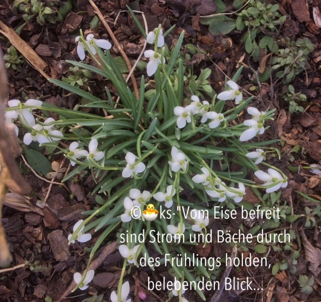 Vor dem Tore…