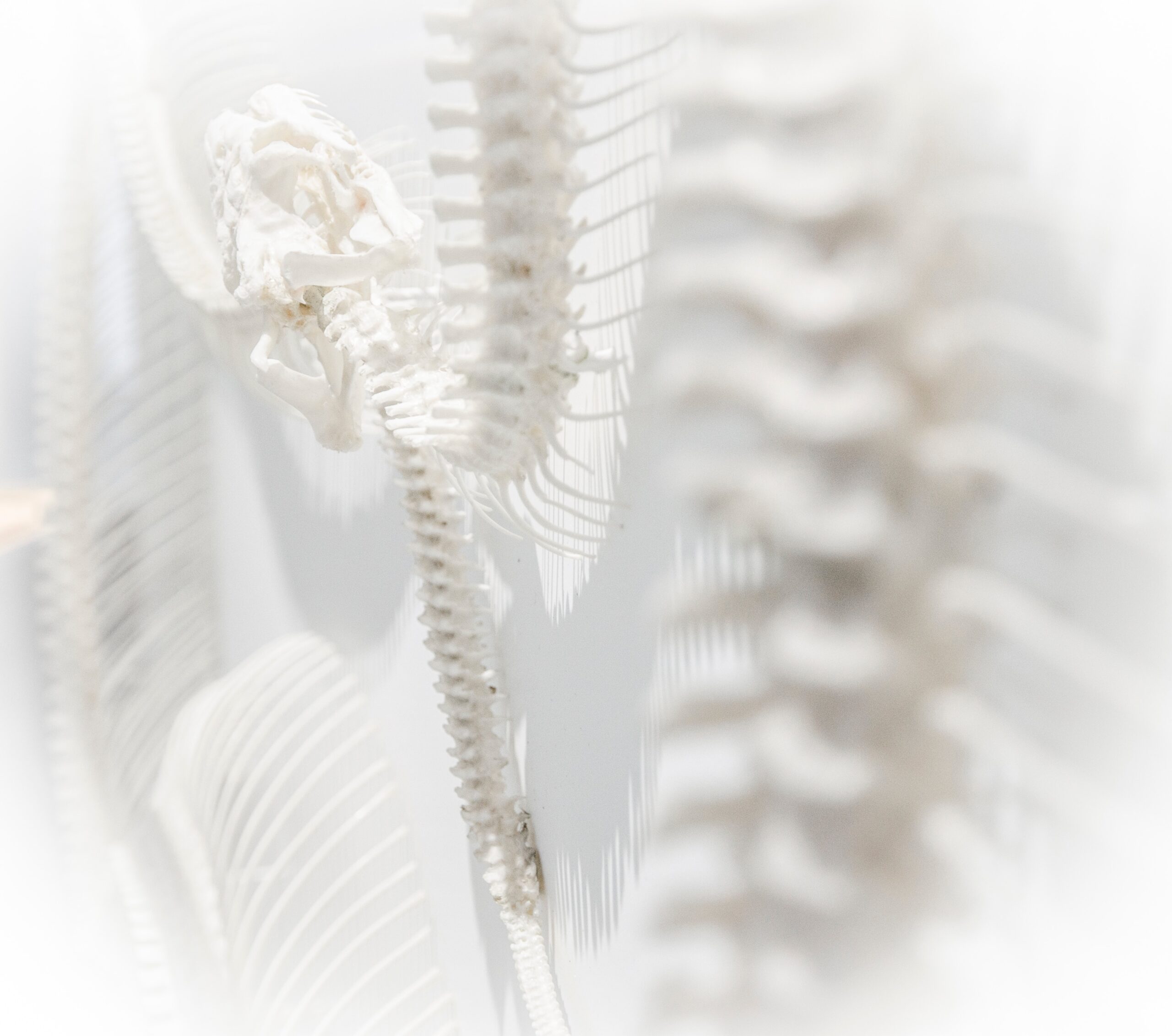 Osteoporose- einige Hinweise