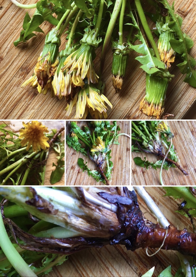 Blüten, Blätter…