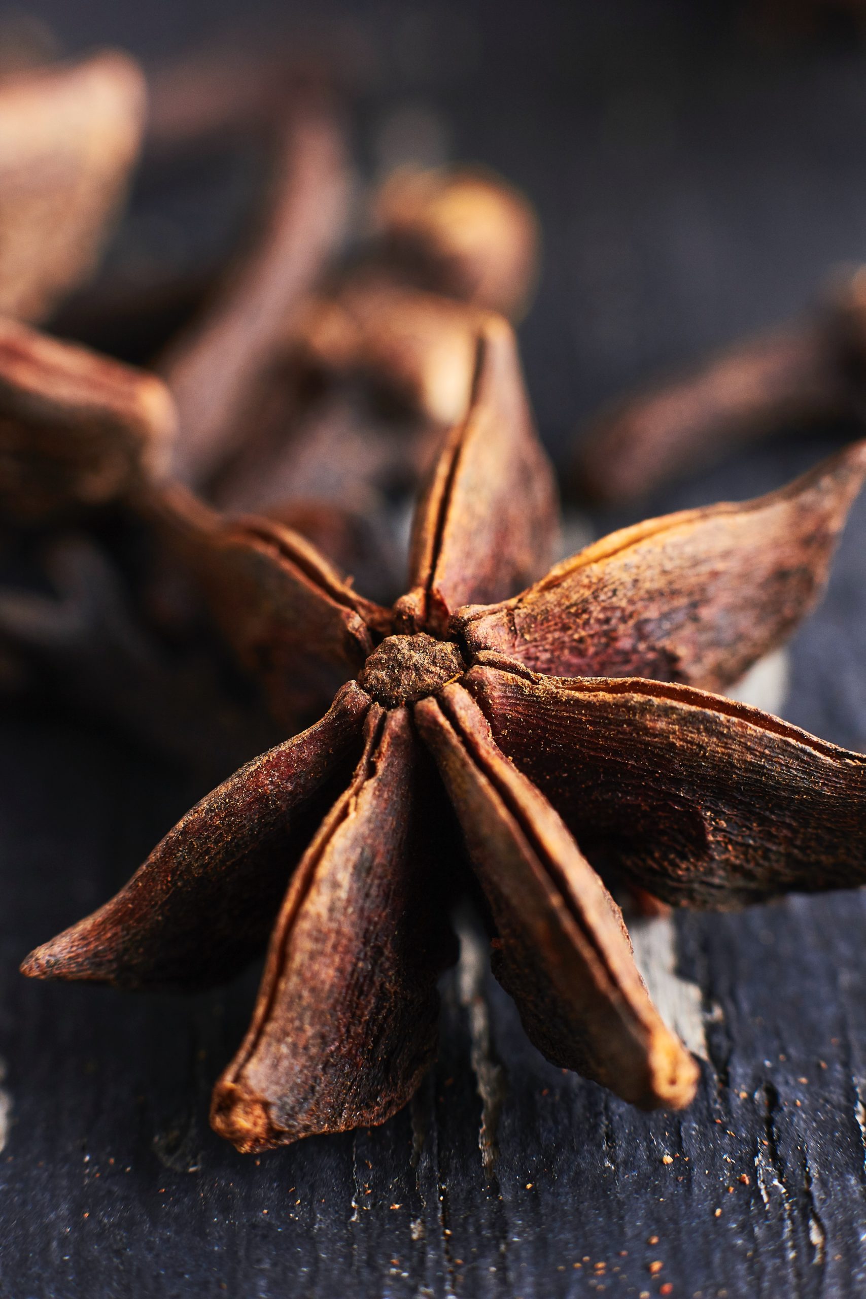 Die Natur-Apotheke des Winters Teil 1