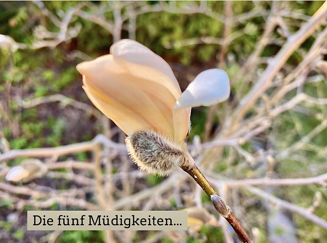 Die Fünf „Müdigkeiten“…