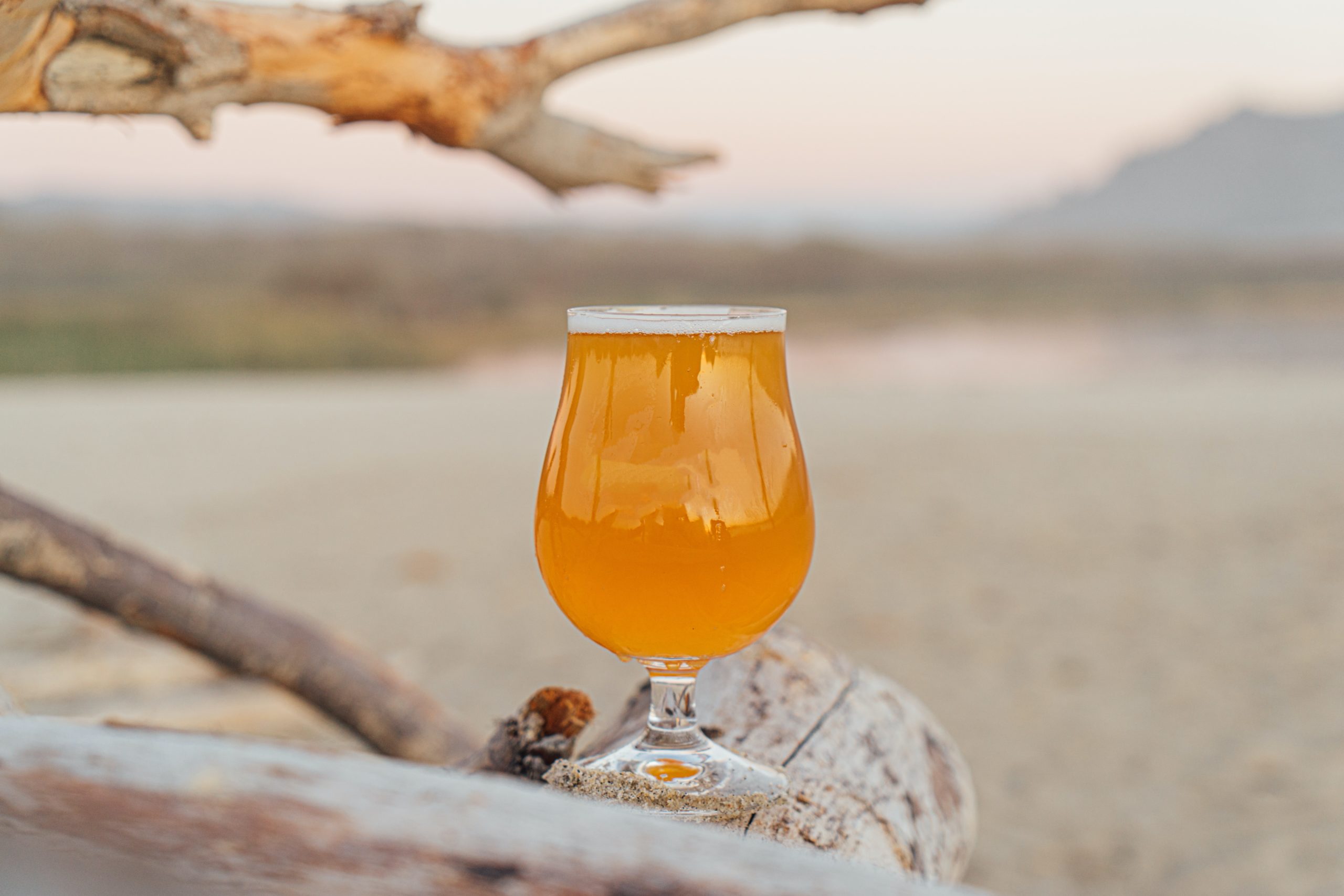 Herzliche Grüße aus meinem Urlaub…-Willkommen in der neuen Woche- Wie wird Bier in der chinesischen Medizin diskutiert?