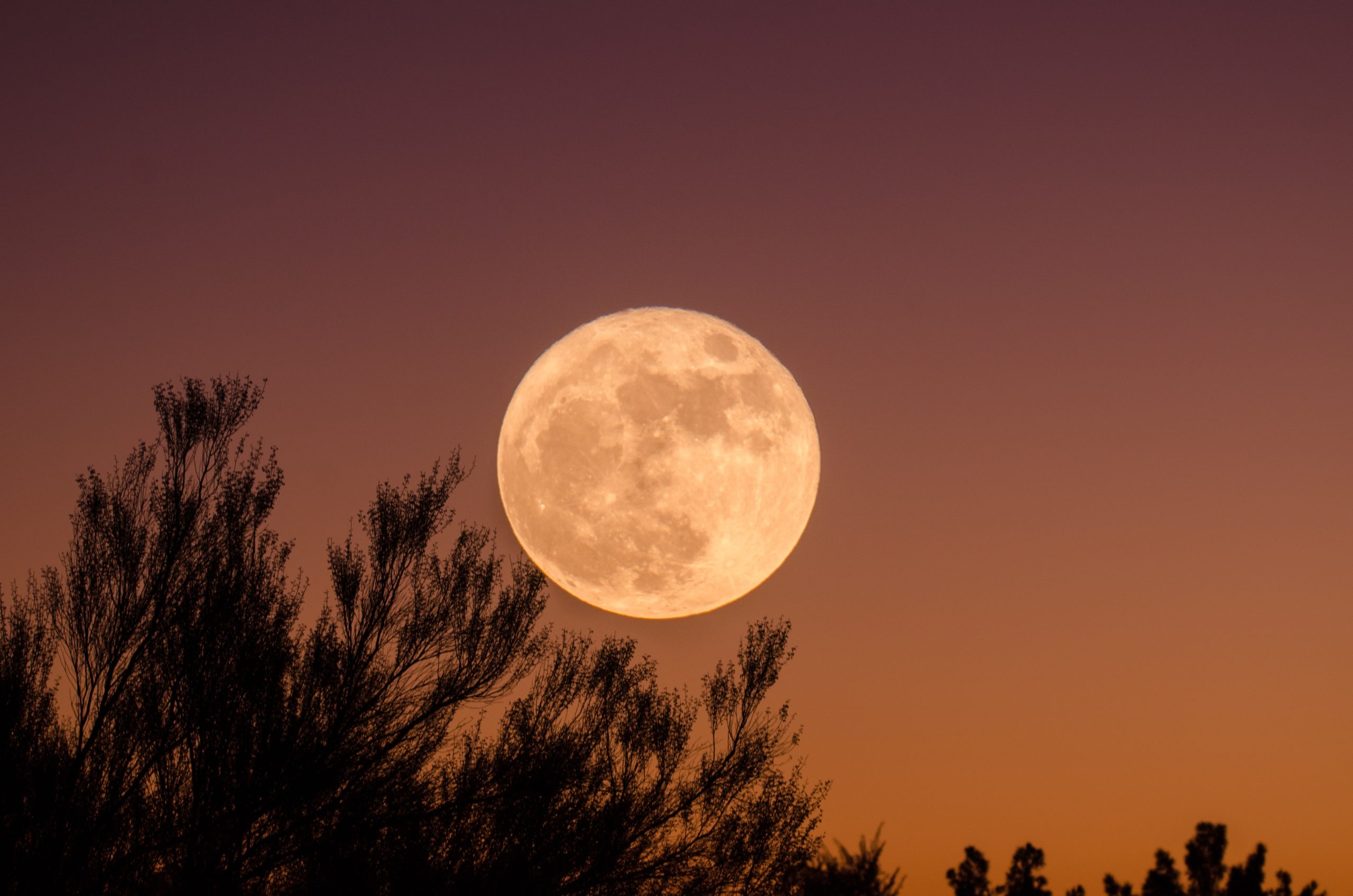Der Vollmond im Oktober- Warum ist er so besonders?