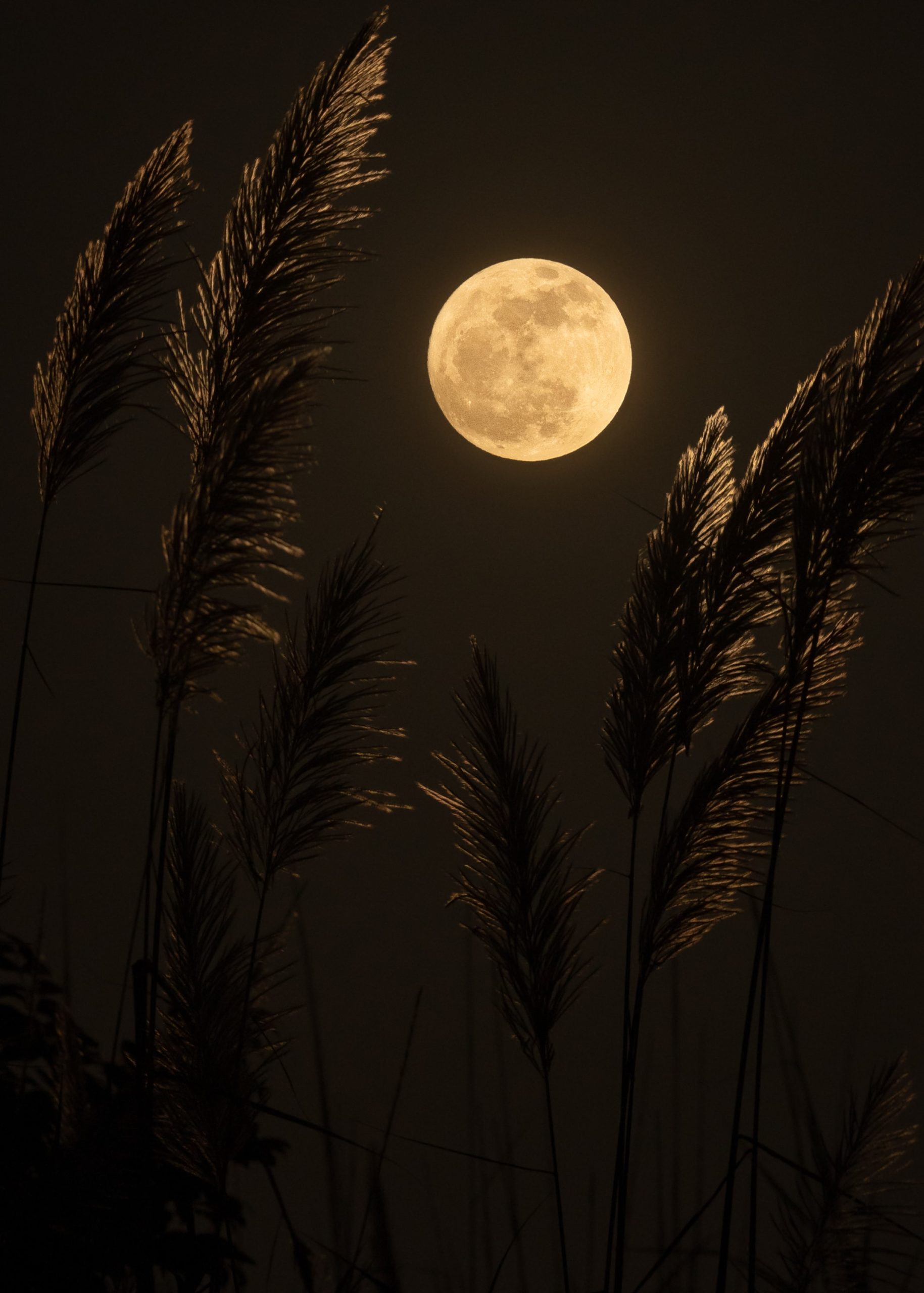 Es grüßt der Eis-Mond…