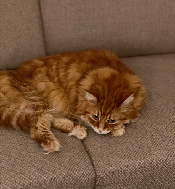 Power-Nap…