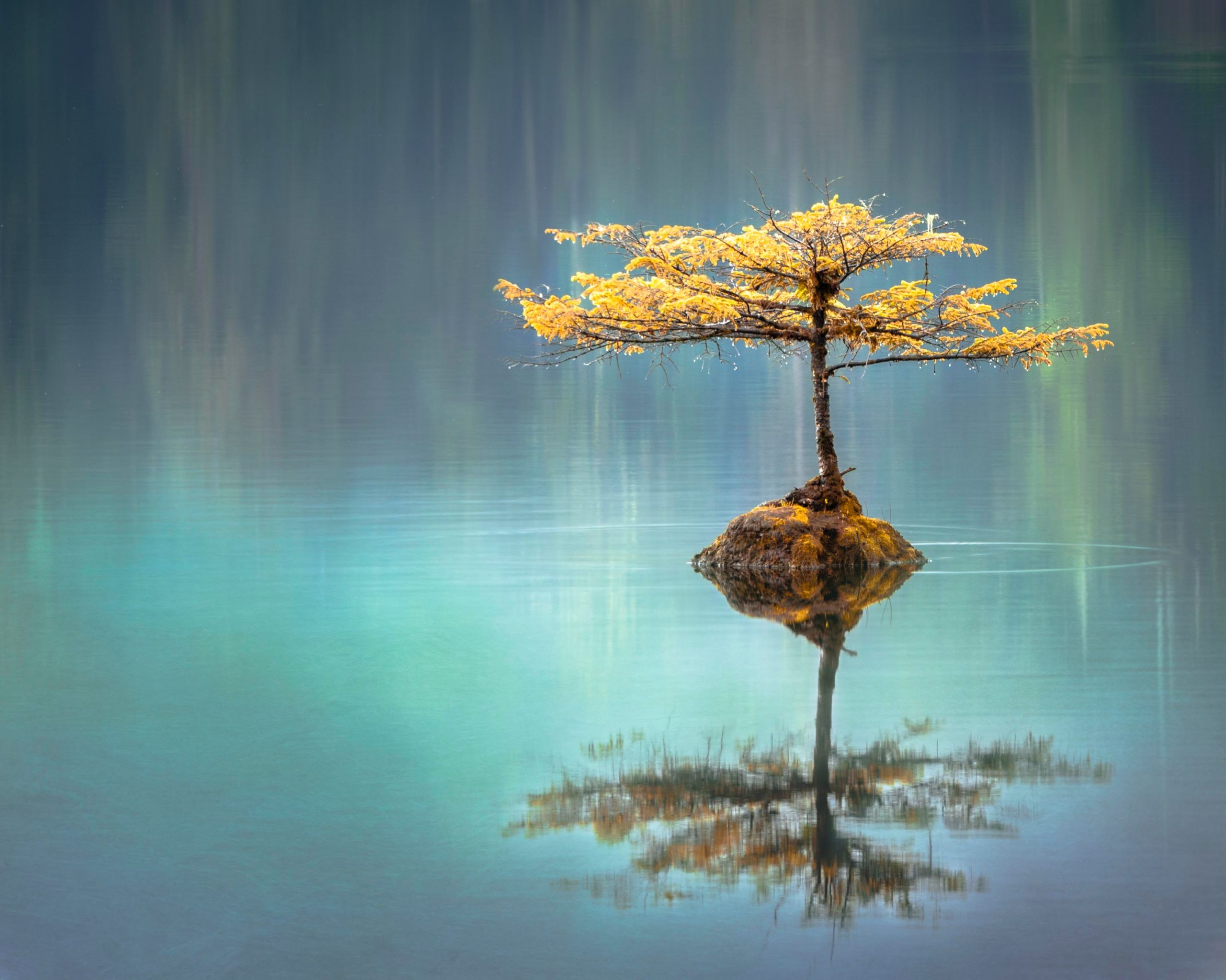 ZEN- bALANCE- dYnamisch, kRaftvoll, gEschmeidig… Teil 2…