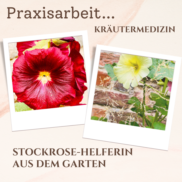 Schönheit mit Heilwirkung