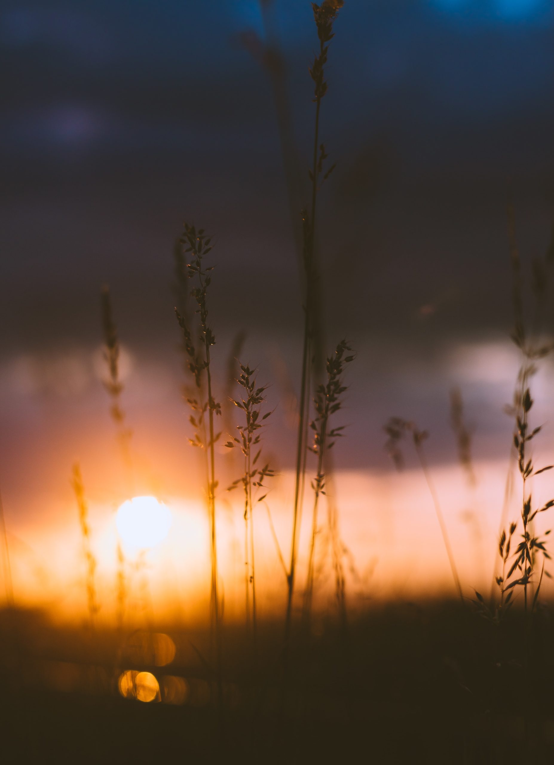 Am Abend mancher Tage…