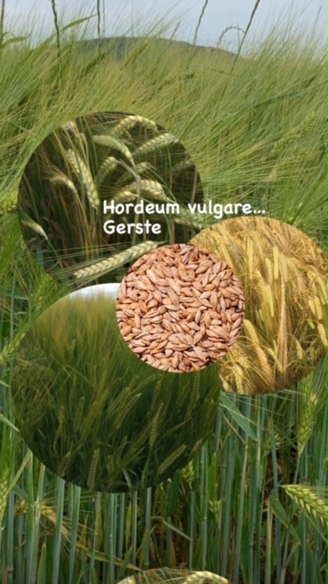 ER-leben Teil 3